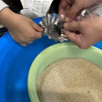 わくわく実験室「じしゃくで砂鉄取り」